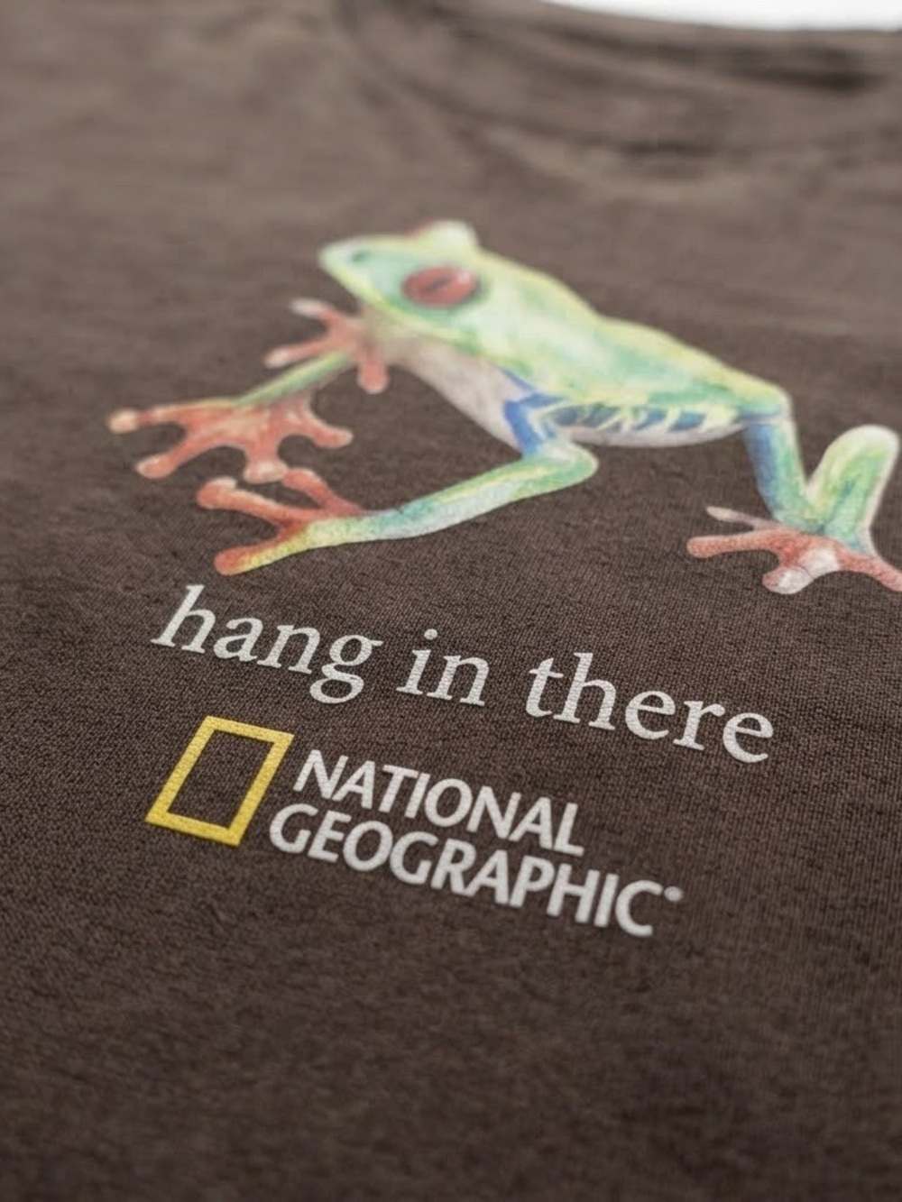 Gildan National Geographic Brown 'Hang In There' Frog Graphic T-Shirt - Picture 2 of 2